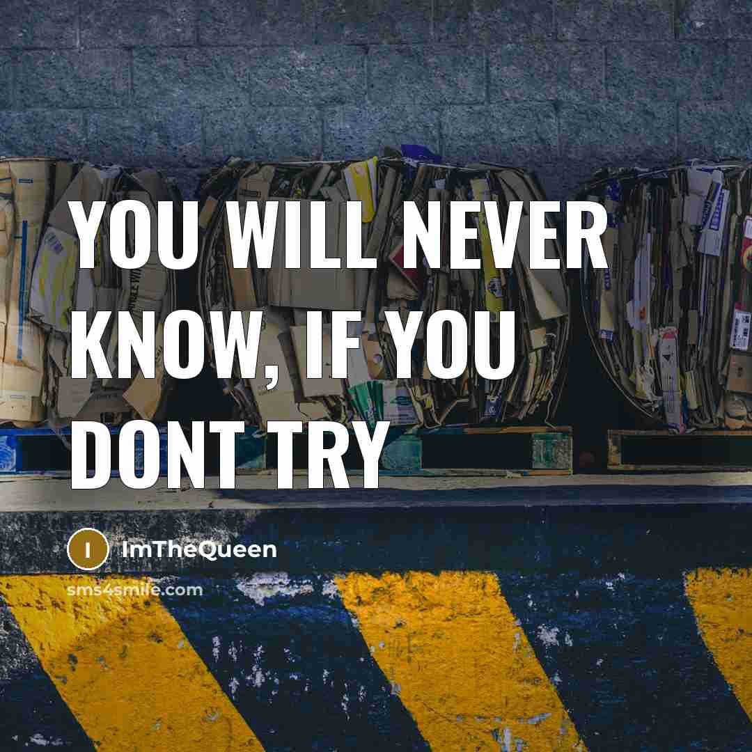 “You will never know, if you dont try…” quote by ImTheQueen