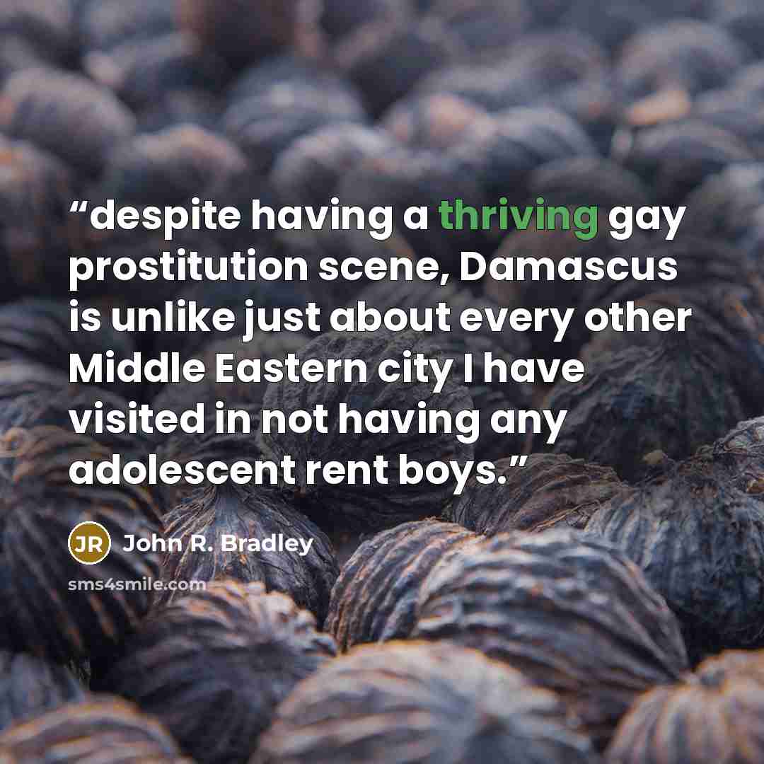 “despite having a thriving gay prostitution scene, Damascus is unlike just about every other Middle Eastern city I have visited in not having any adolescent rent boys.” quote by John R. Bradley