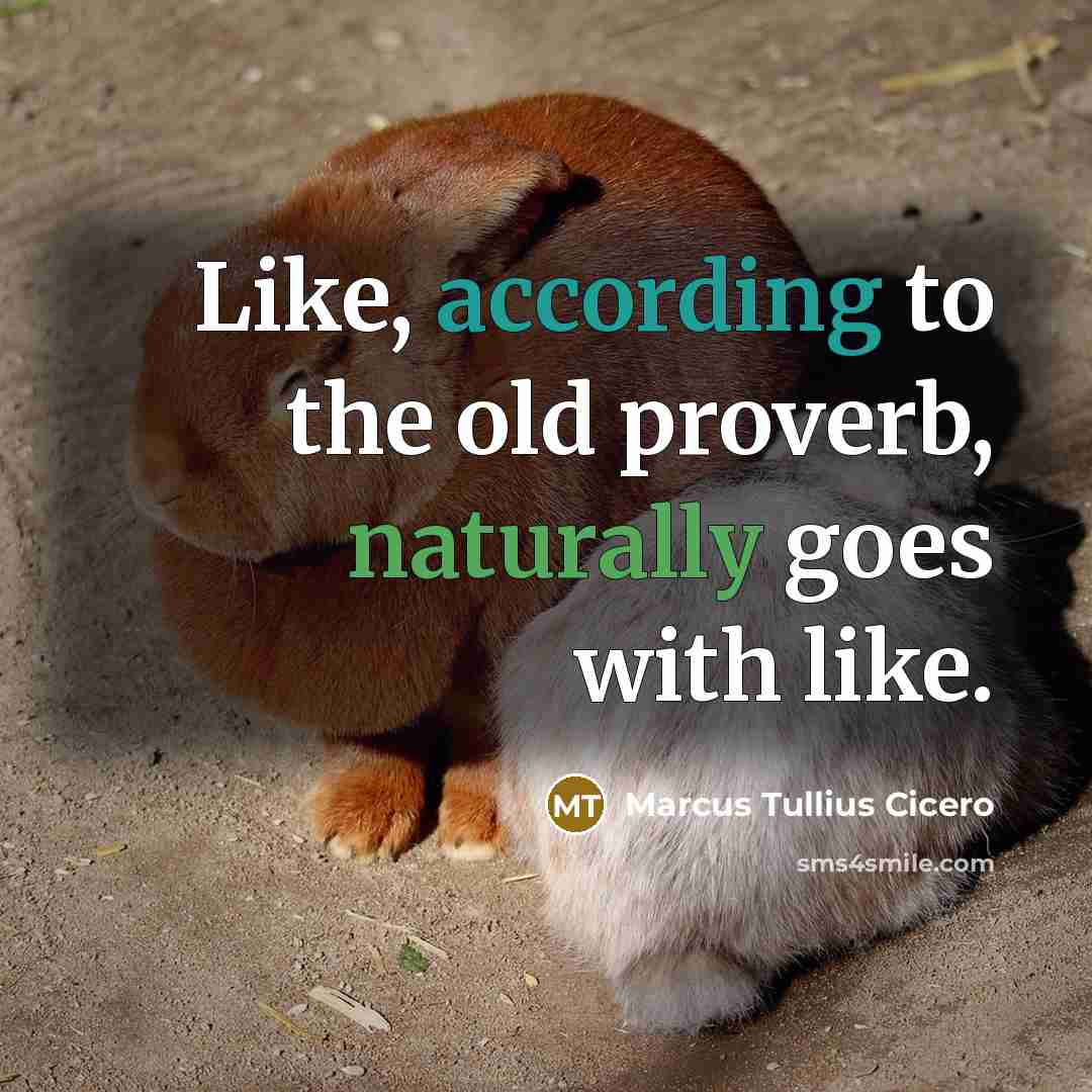 “Like, according to the old proverb, naturally goes with like.…” quote by Marcus Tullius Cicero