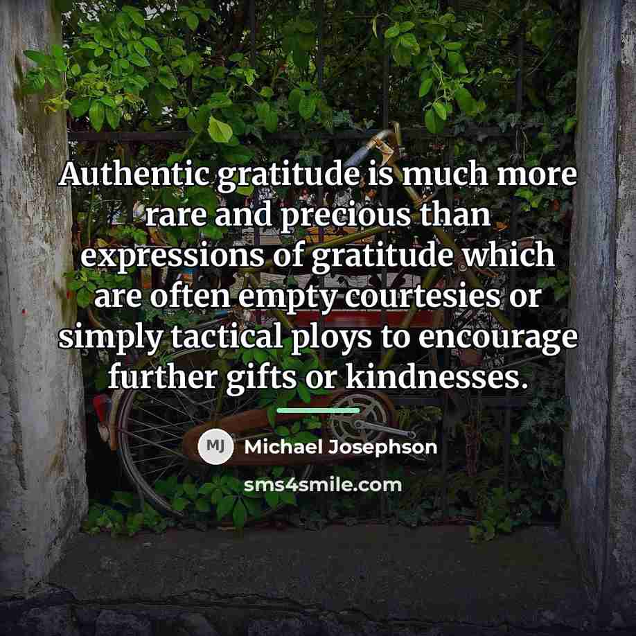 “Authentic gratitude is much more rare and precious than expressions…” quote by Michael Josephson