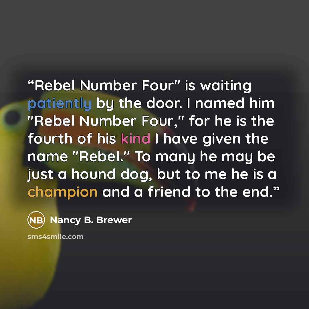 “Rebel Number Four" is waiting patiently by the door. I named him "Rebel Number Four," for he is the fourth of his kind I have given the name "Rebel." To many he may be just a hound dog, but to me he is a champion and a friend to the end.” quote by Nancy B. Brewer