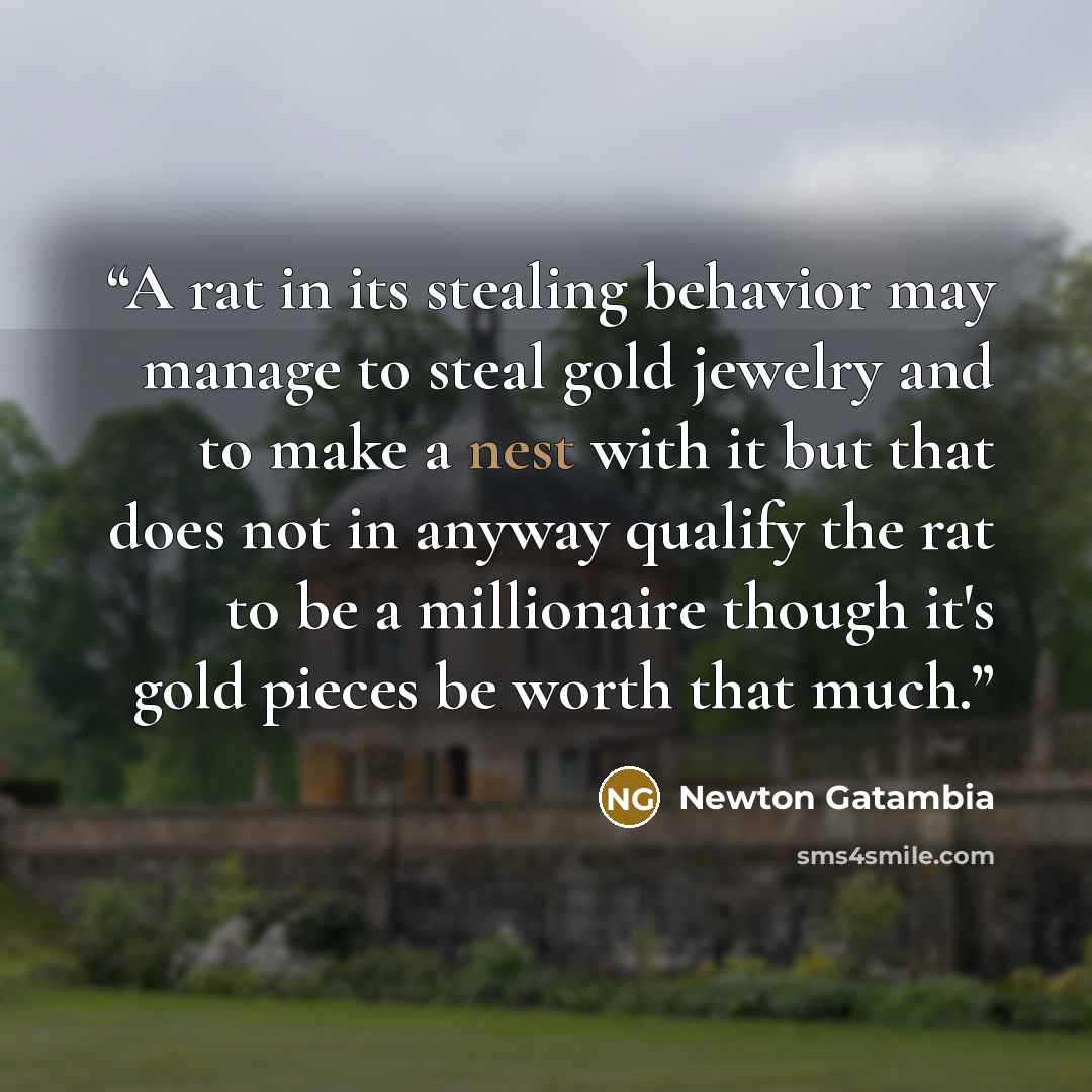 “A rat in its stealing behavior may manage to steal gold jewelry and to make a nest with it but that does not in anyway qualify the rat to be a millionaire though it's gold pieces be worth that much.” quote by Newton Gatambia