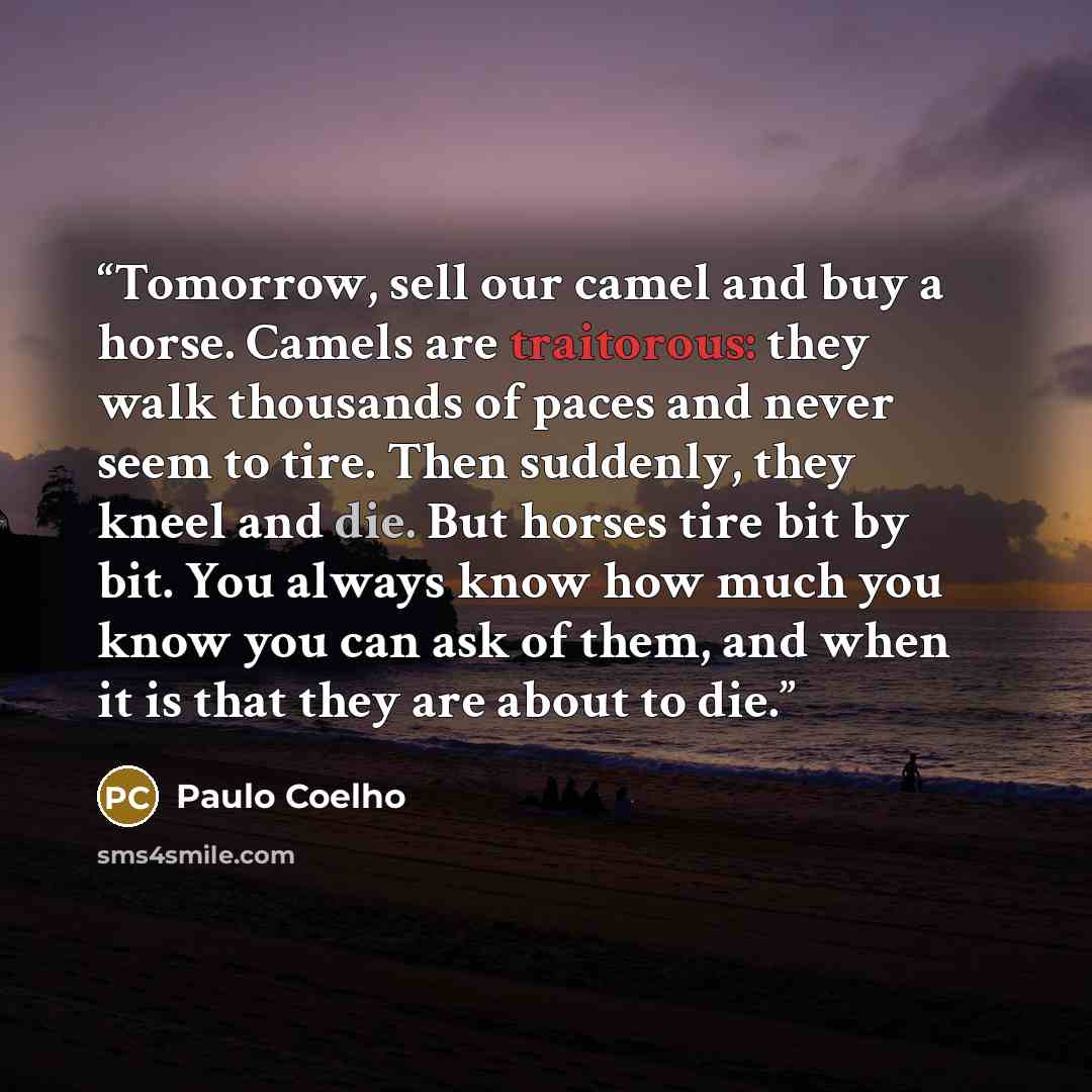 “Tomorrow, sell our camel and buy a horse. Camels are traitorous: they walk thousands of paces and never seem to tire. Then suddenly, they kneel and die. But horses tire bit by bit. You always know how much you know you can ask of them, and when it is that they are about to die.” quote by Paulo Coelho