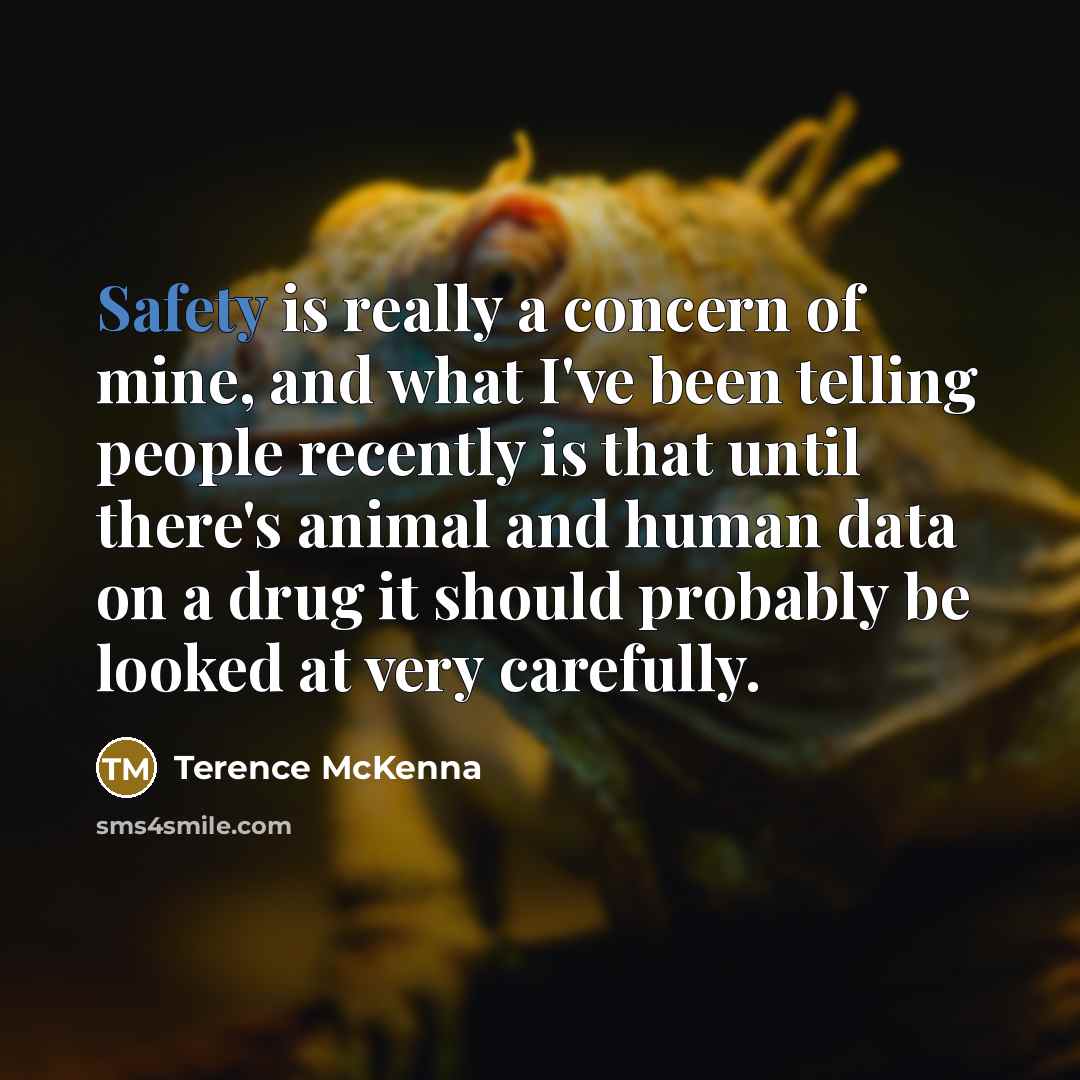 “Safety is really a concern of mine, and what I've…” quote by Terence McKenna