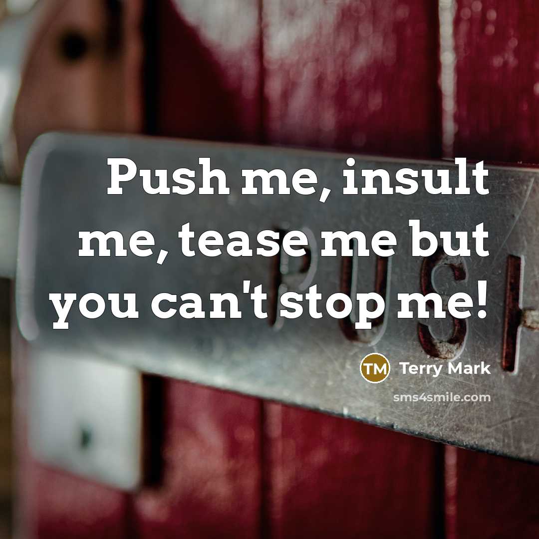 “Push me, insult me, tease me but you can't stop…” quote by Terry Mark