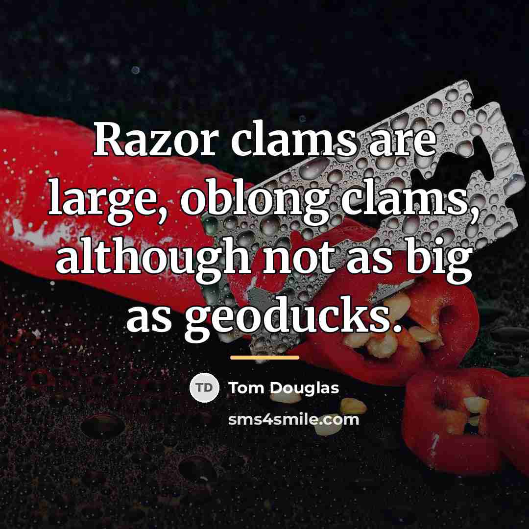 “Razor clams are large, oblong clams, although not as big…” quote by Tom Douglas