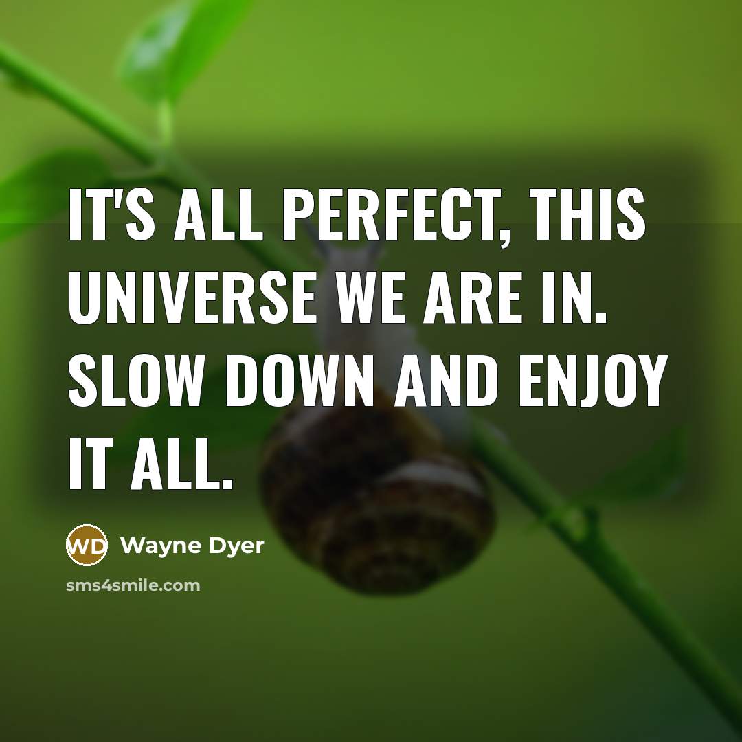 “It's all perfect, this Universe we are in. Slow down…” quote by Wayne Dyer