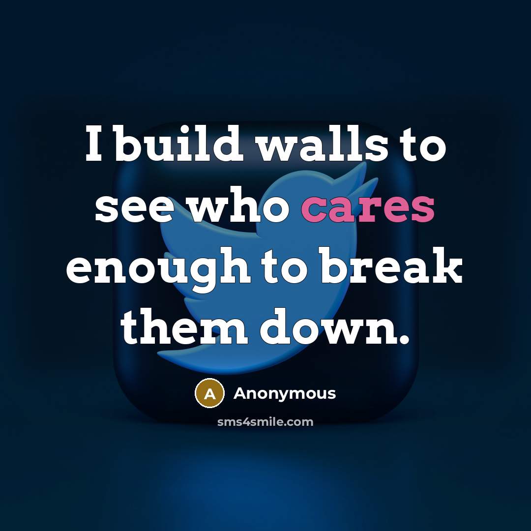 “I build walls to see who cares enough to break them down.” quote by Anonymous