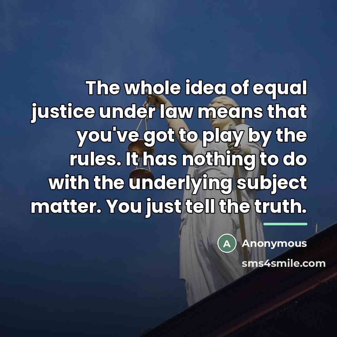 “The whole idea of equal justice under law means that…” quote by Anonymous