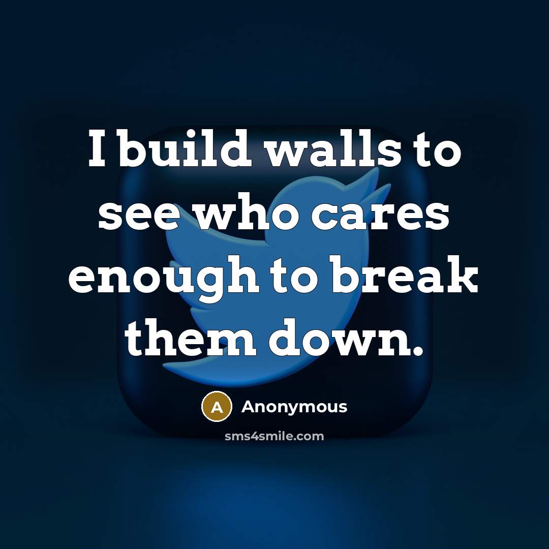 “I build walls to see who cares enough to break…” quote by Anonymous