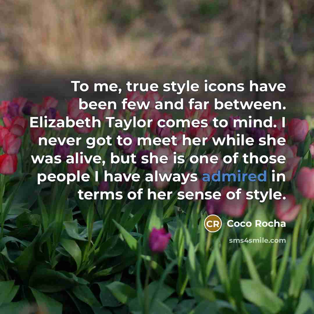 “To me, true style icons have been few and far between. Elizabeth Taylor comes to mind. I never got to meet her while she was alive, but she is one of those people I have always admired in terms of her sense of style.” quote by Coco Rocha