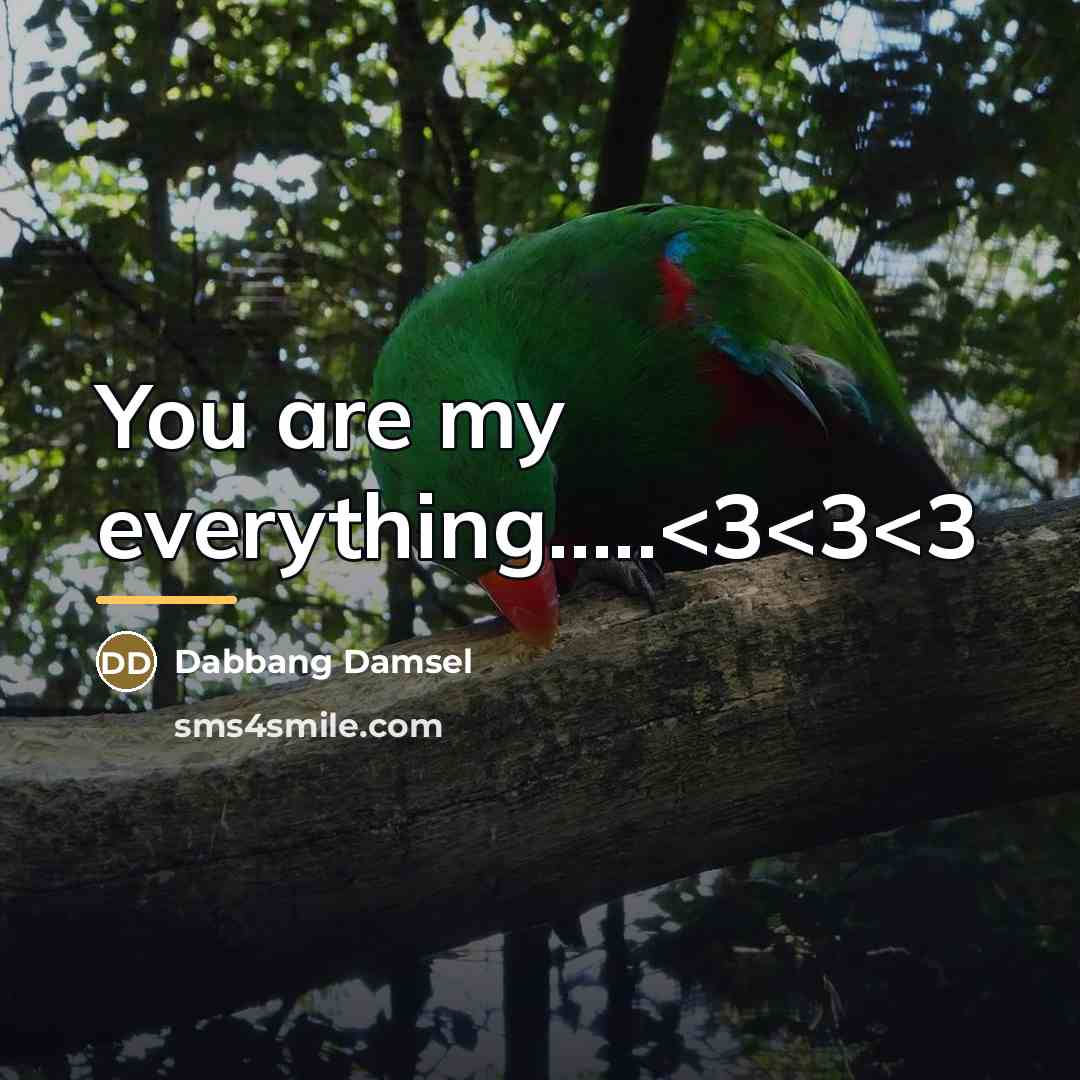 “You are my everything.....…” quote by Dabbang Damsel