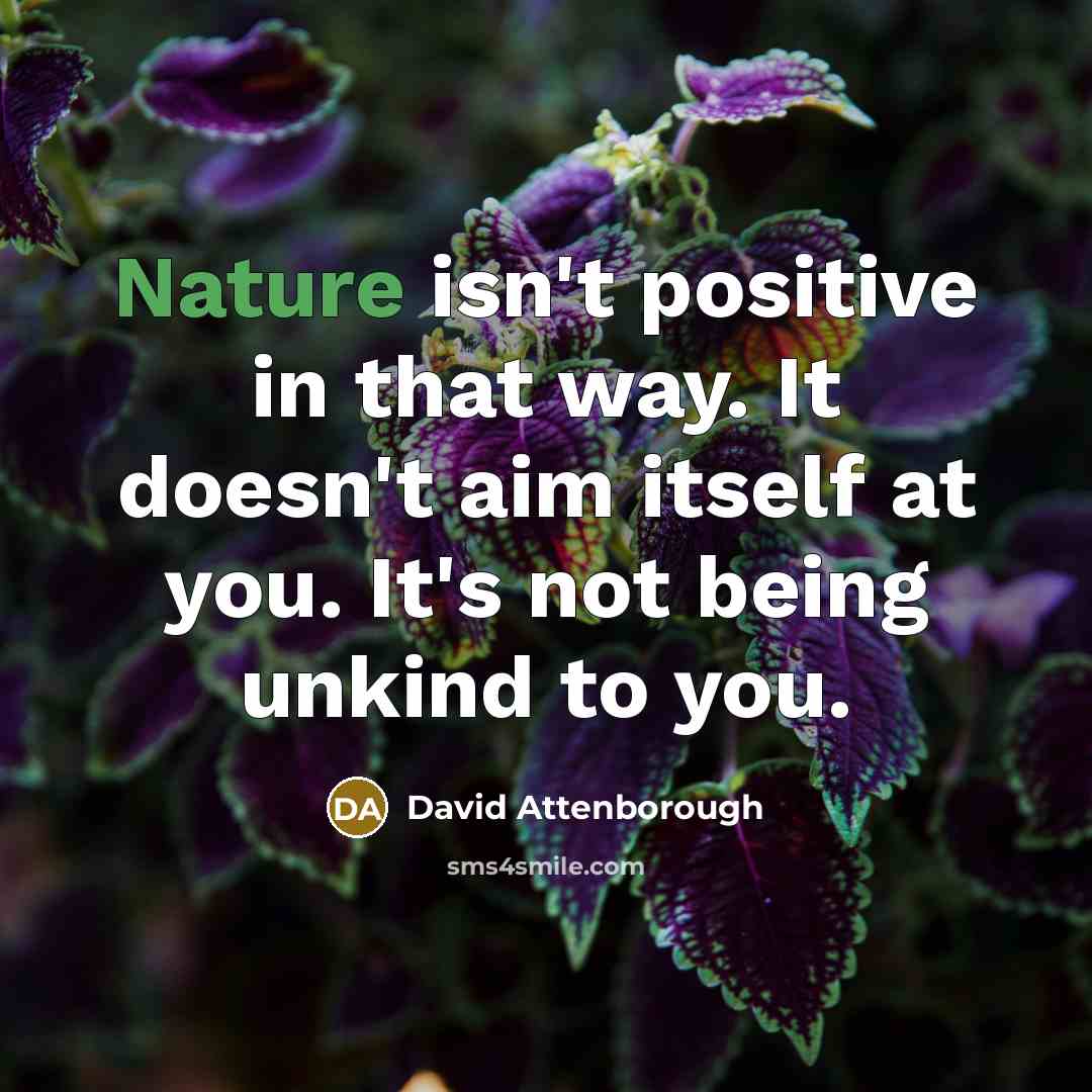 “Nature isn't positive in that way. It doesn't aim itself…” quote by David Attenborough