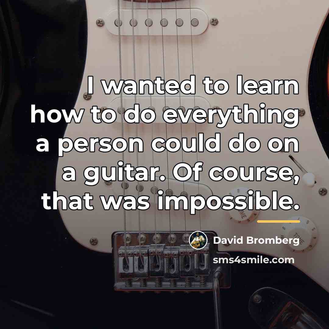 “I wanted to learn how to do everything a person…” quote by David Bromberg