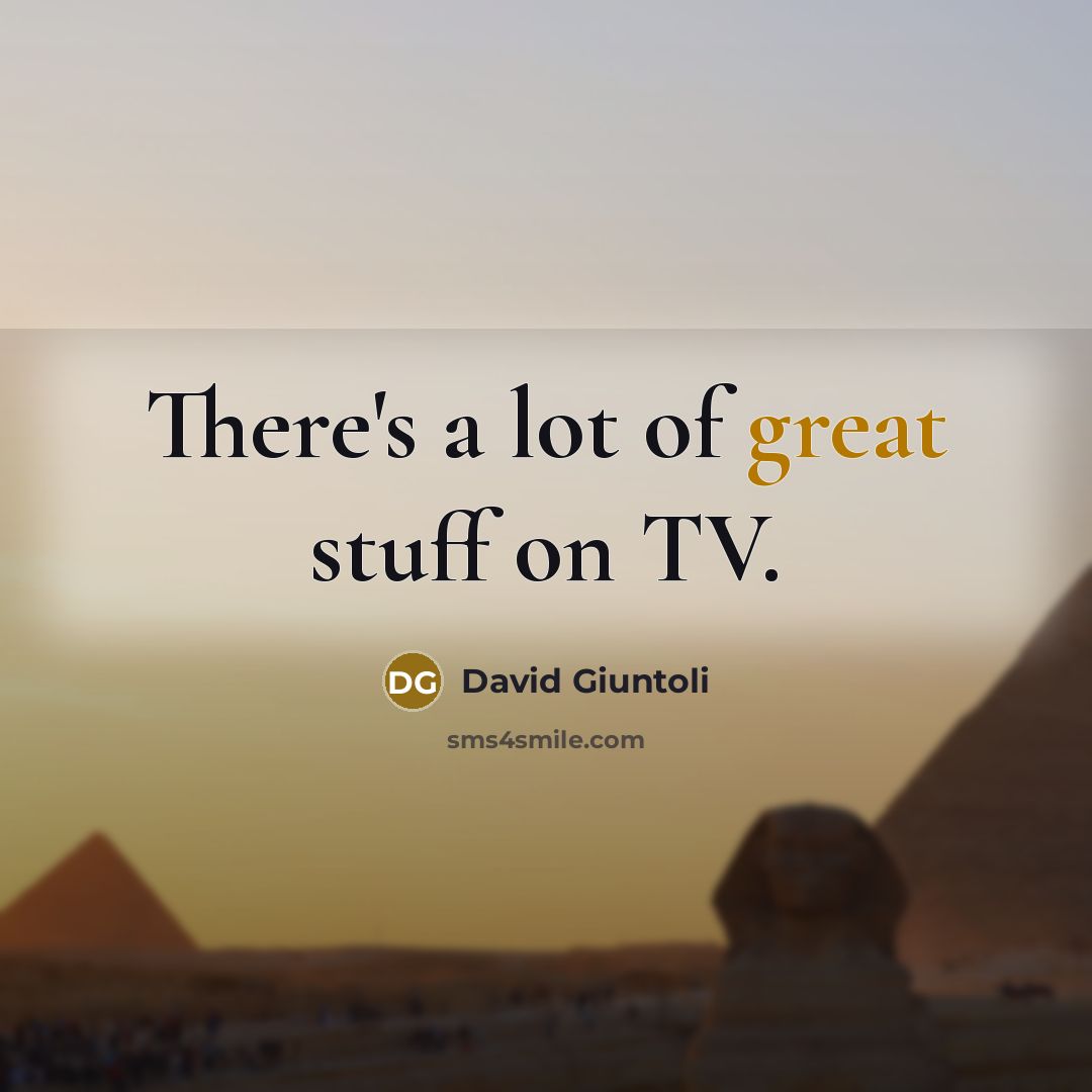 “There's a lot of great stuff on TV.” quote by David Giuntoli