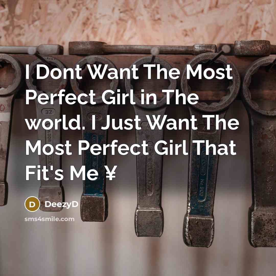 “I Dont Want The Most Perfect Girl in The world.…” quote by DeezyD