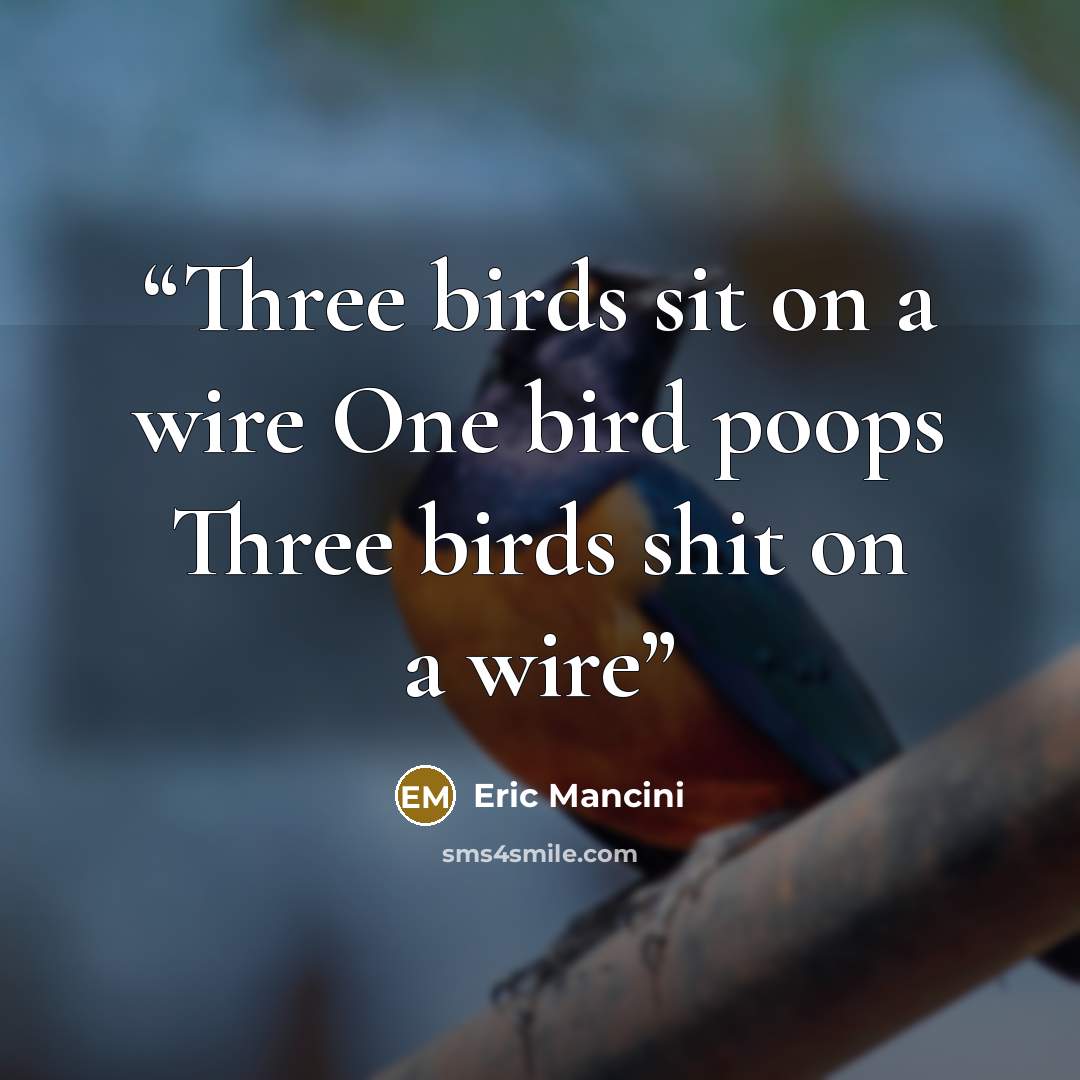 “Three birds sit on a wire One bird poops Three birds shit on a wire” quote by Eric Mancini