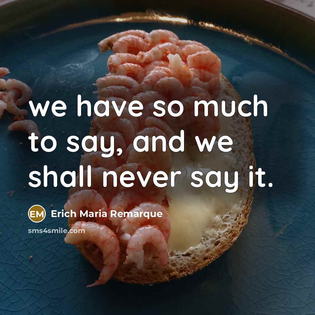 “we have so much to say, and we shall never…” quote by Erich Maria Remarque
