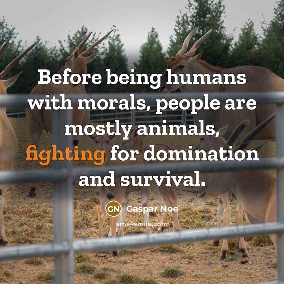 “Before being humans with morals, people are mostly animals, fighting…” quote by Gaspar Noe