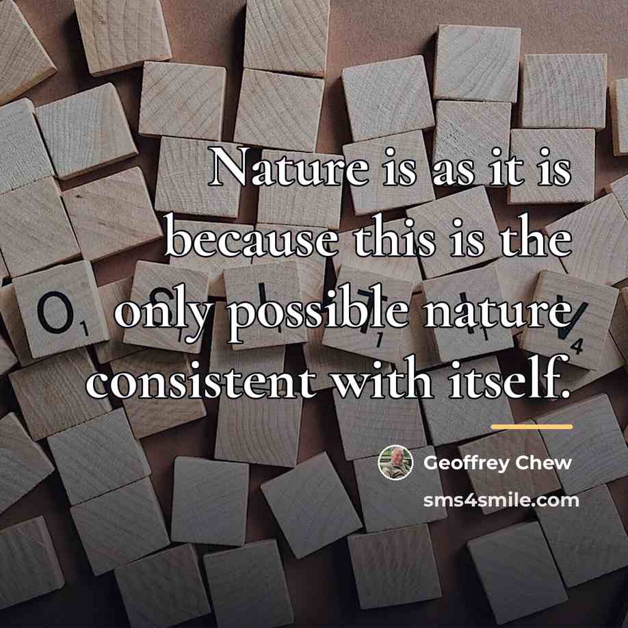 “Nature is as it is because this is the only…” quote by Geoffrey Chew