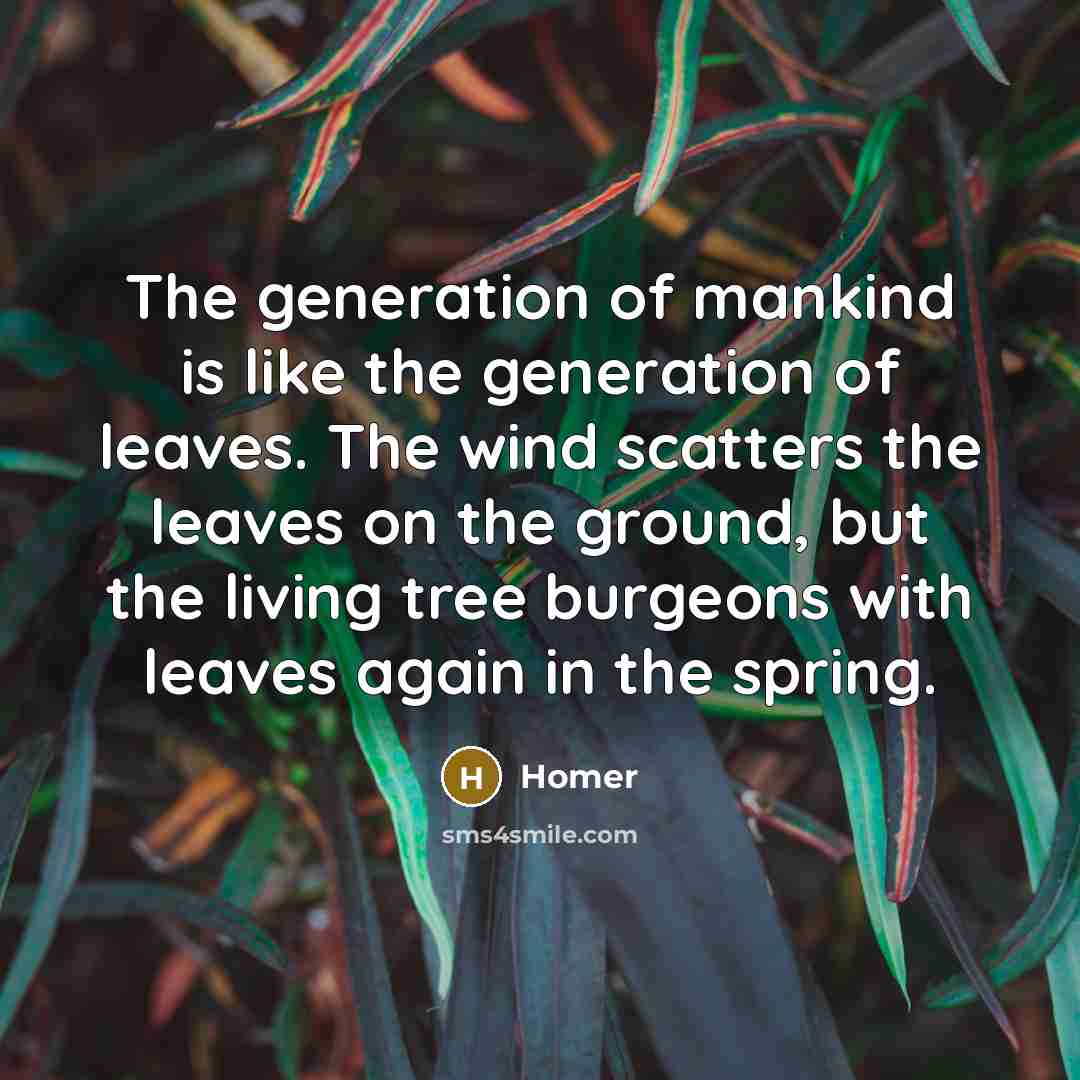 “The generation of mankind is like the generation of leaves.…” quote by Homer