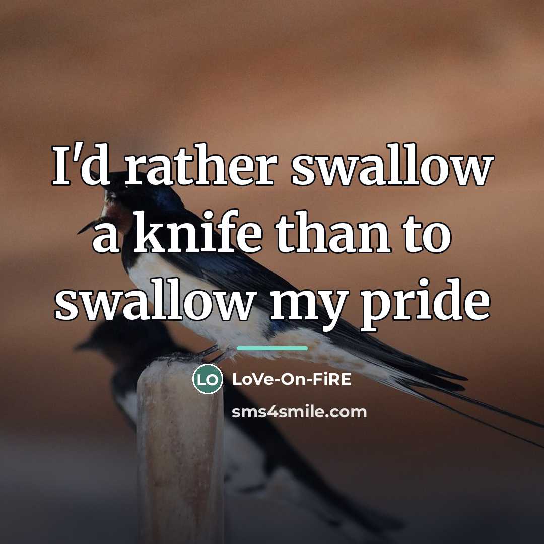 “I'd rather swallow a knife than to swallow my pride…” quote by LoVe-On-FiRE