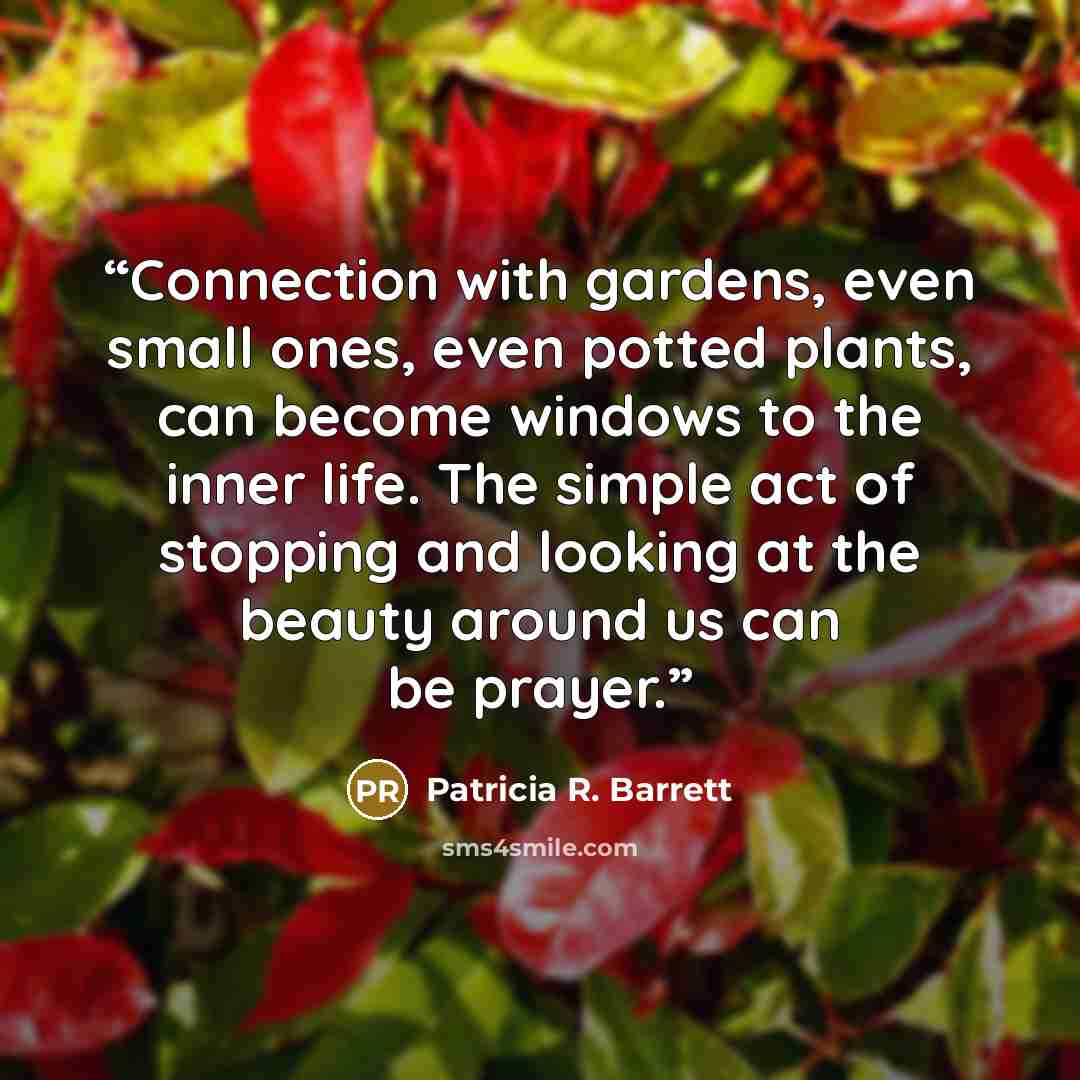 “Connection with gardens, even small ones, even potted plants, can become windows to the inner life. The simple act of stopping and looking at the beauty around us can be prayer.” quote by Patricia R. Barrett