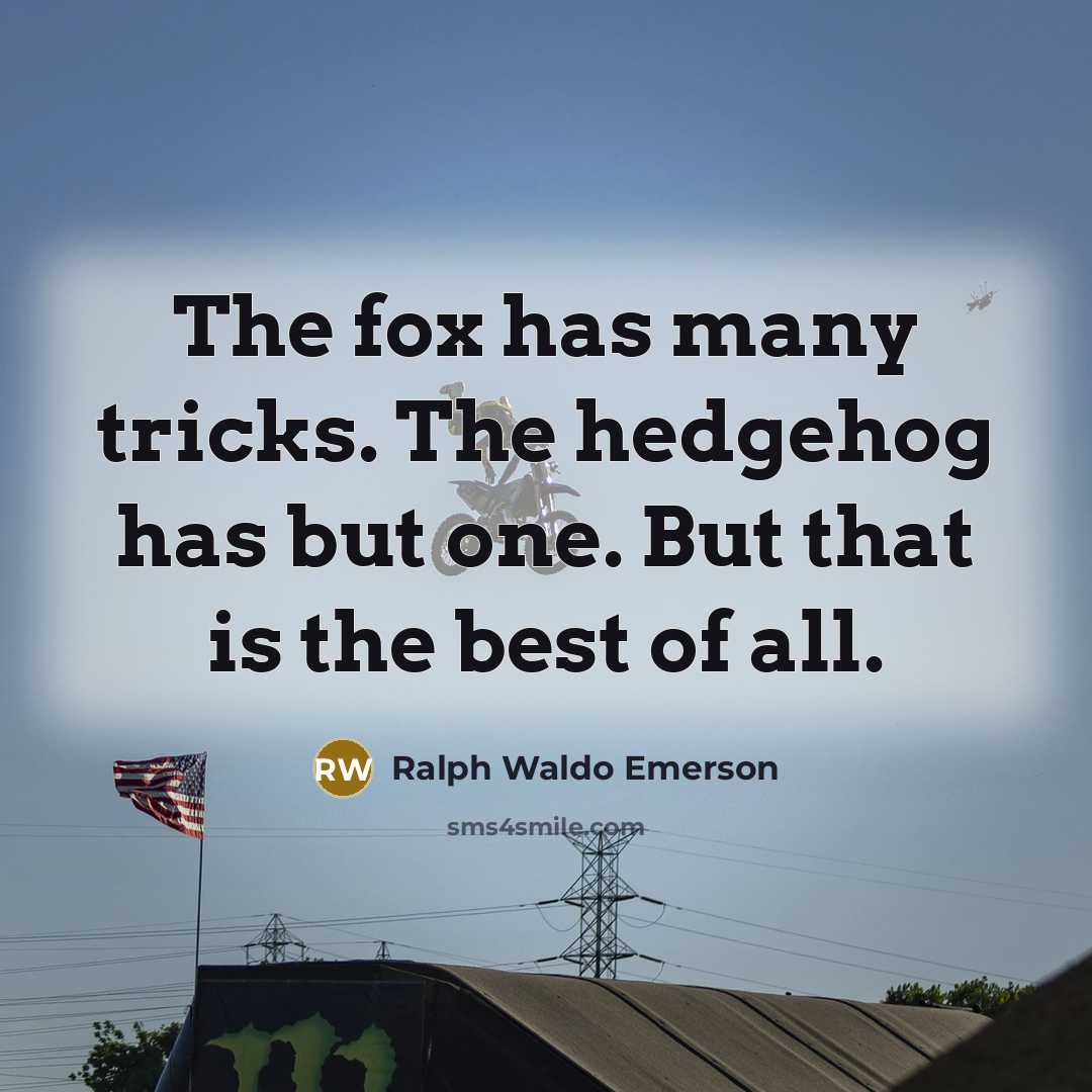 “The fox has many tricks. The hedgehog has but one. But that is the best of all.” quote by Ralph Waldo Emerson