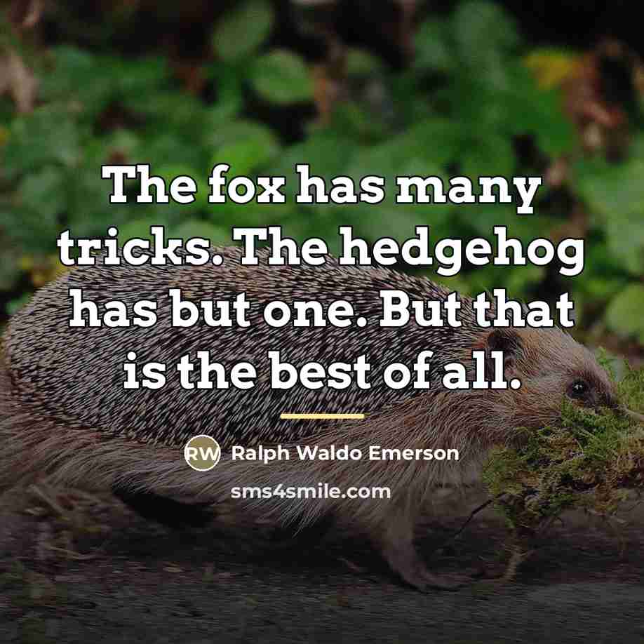 “The fox has many tricks. The hedgehog has but one.…” quote by Ralph Waldo Emerson