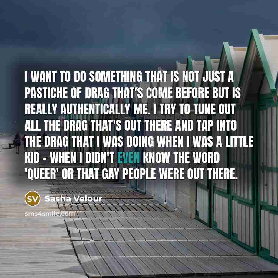 “I want to do something that is not just a…” quote by Sasha Velour