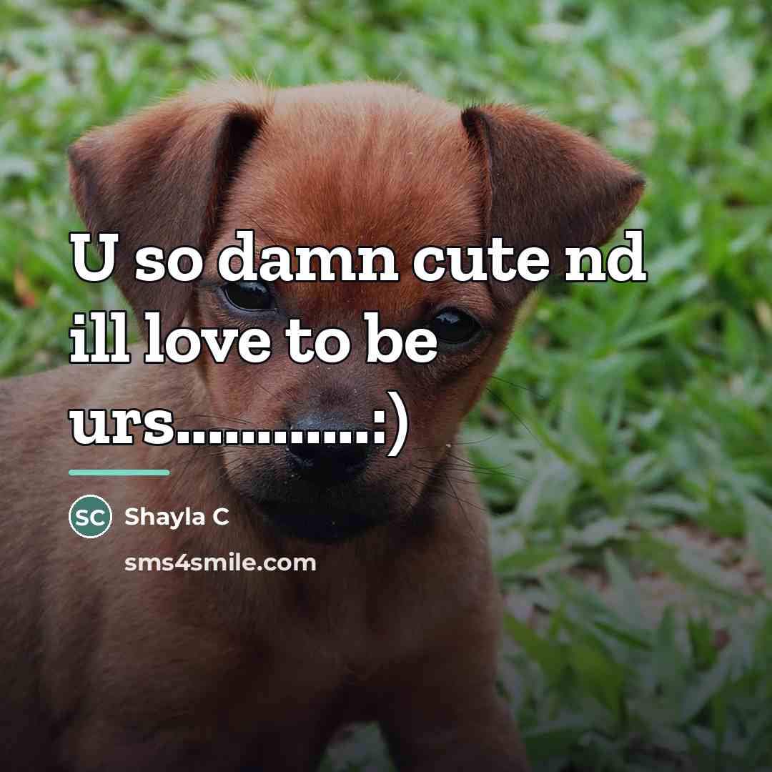 “U so damn cute nd ill love to be urs............:)…” quote by Shayla C