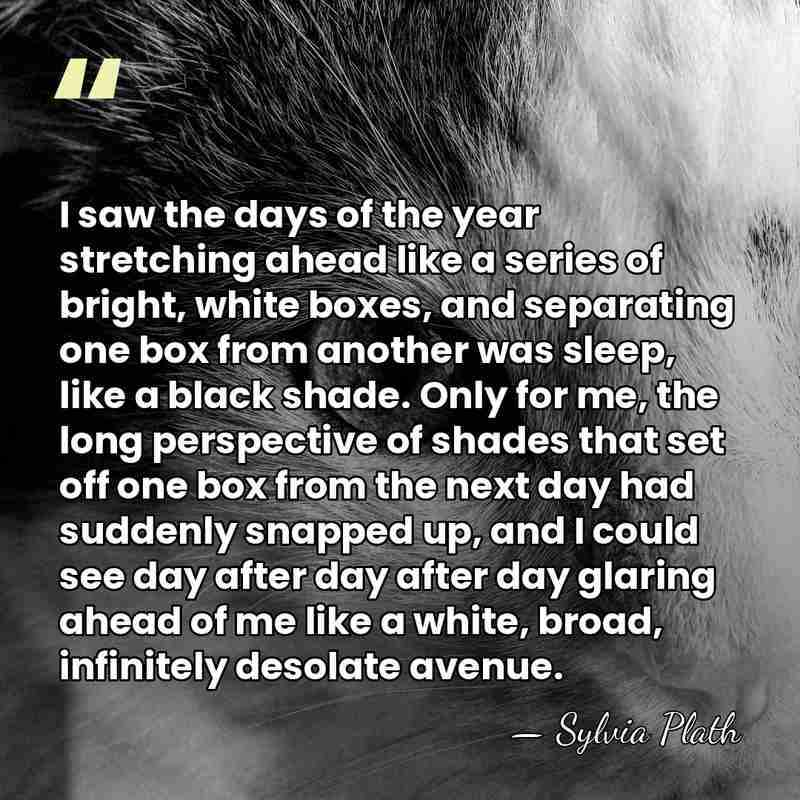 I saw the days of the year stretching ahead like a series&hellip; - Sylvia Plath
