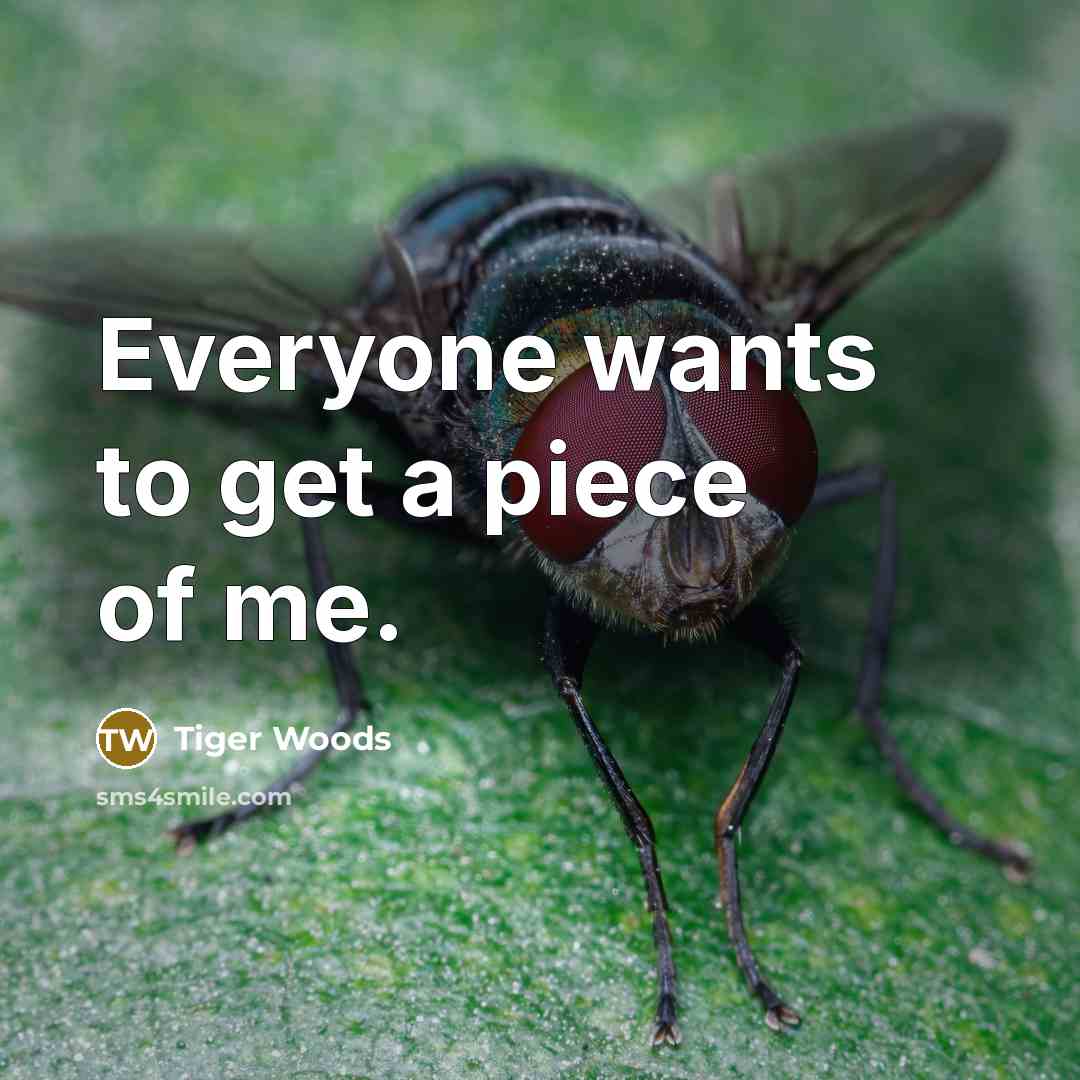 “Everyone wants to get a piece of me.” quote by Tiger Woods