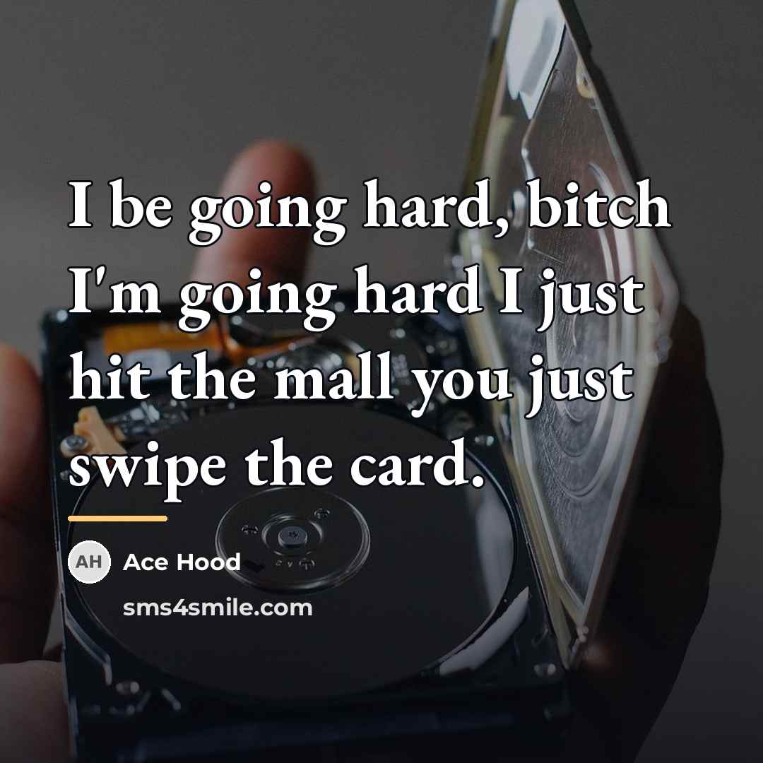 “I be going hard, bitch I'm going hard I just…” quote by Ace Hood