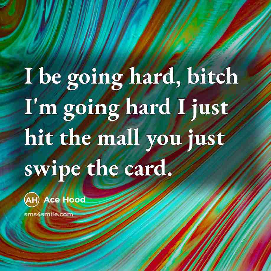 “I be going hard, bitch I'm going hard I just hit the mall you just swipe the card.” quote by Ace Hood