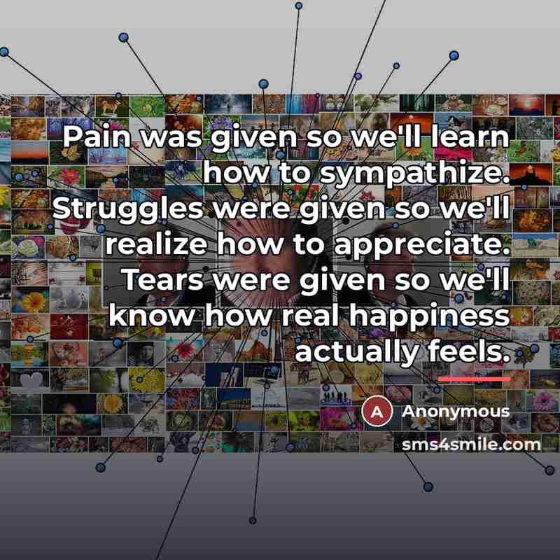 “Pain was given so we'll learn how to sympathize. Struggles…” quote by Anonymous