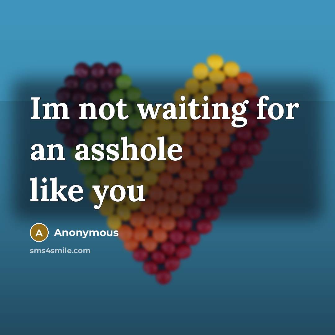 “Im not waiting for an asshole like you…” quote by Anonymous