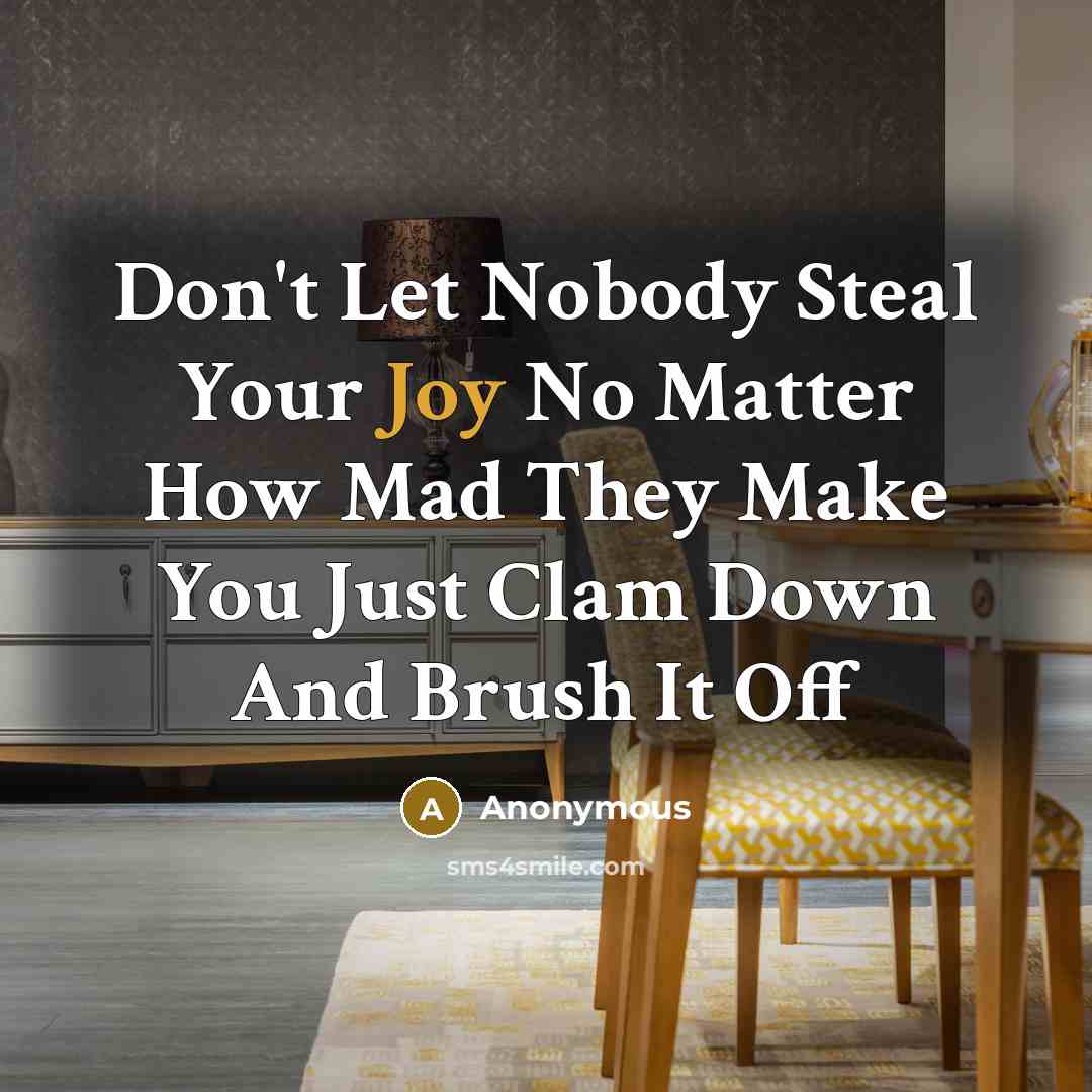 “Don't Let Nobody Steal Your Joy No Matter How Mad…” quote by Anonymous