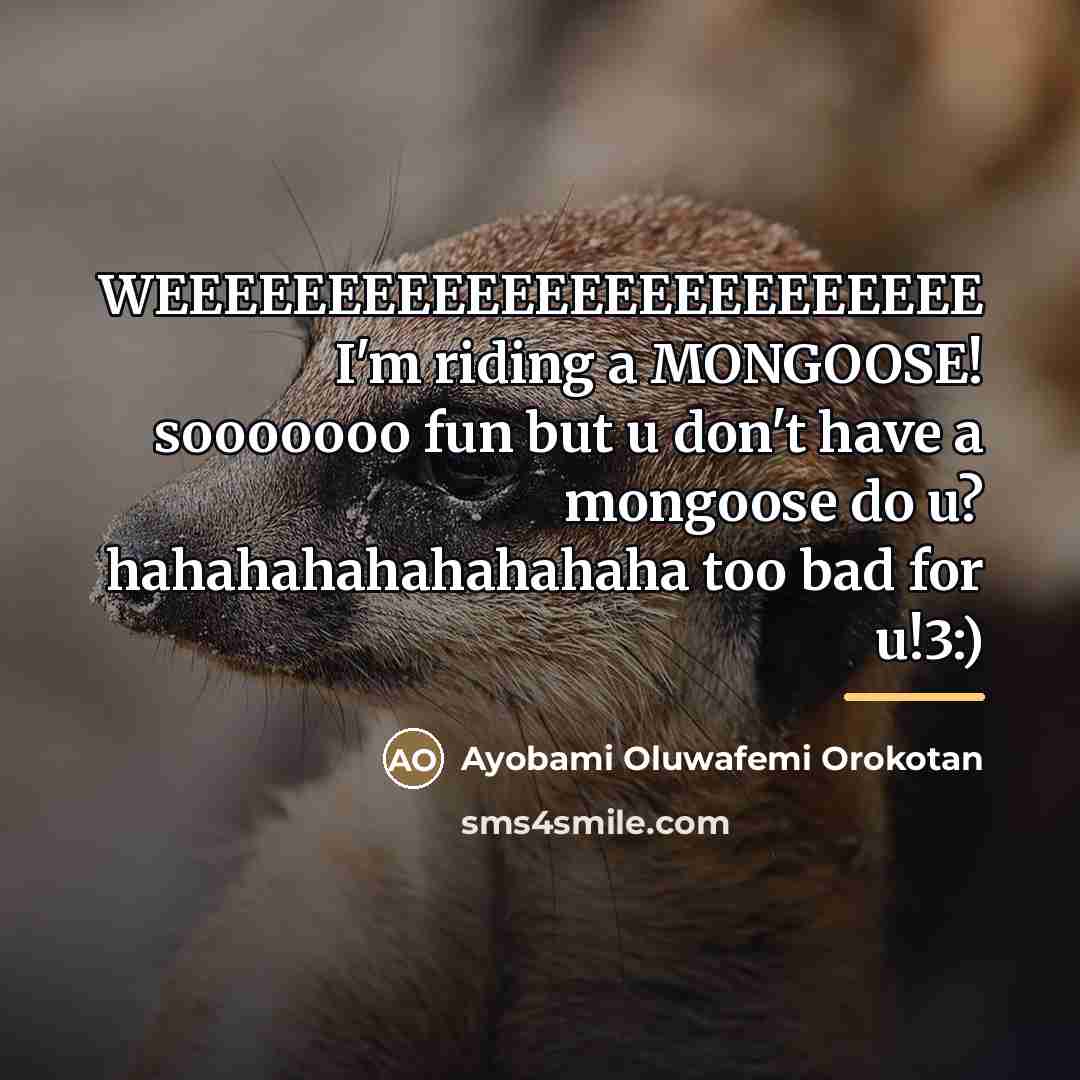 “WEEEEEEEEEEEEEEEEEEEEEEEE I'm riding a MONGOOSE! sooooooo fun but u don't…” quote by Ayobami Oluwafemi Orokotan
