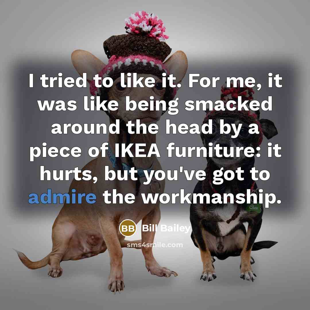 “I tried to like it. For me, it was like…” quote by Bill Bailey