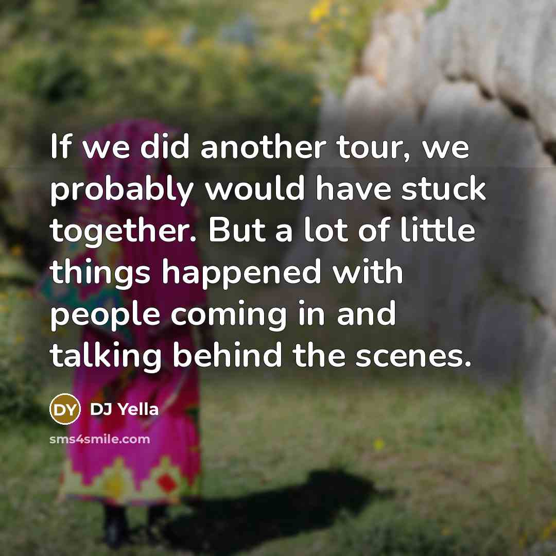 “If we did another tour, we probably would have stuck…” quote by DJ Yella