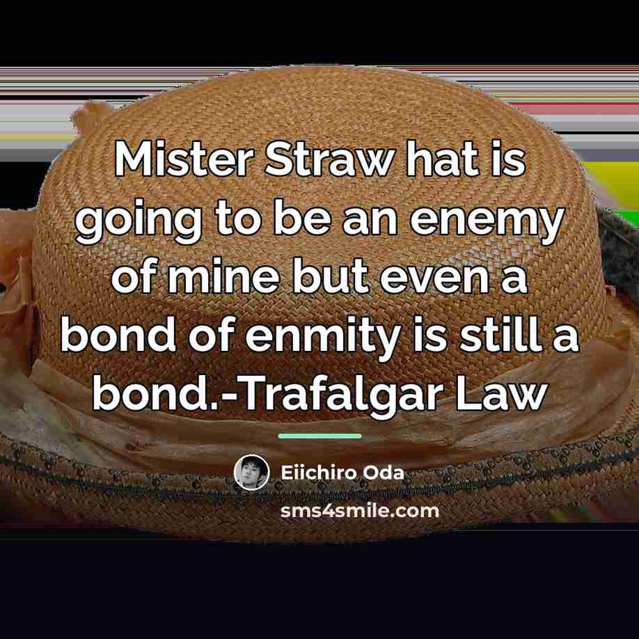“Mister Straw hat is going to be an enemy of…” quote by Eiichiro Oda