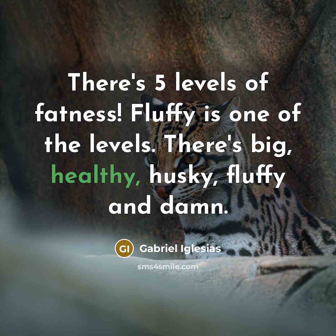 “There's 5 levels of fatness! Fluffy is one of the…” quote by Gabriel Iglesias