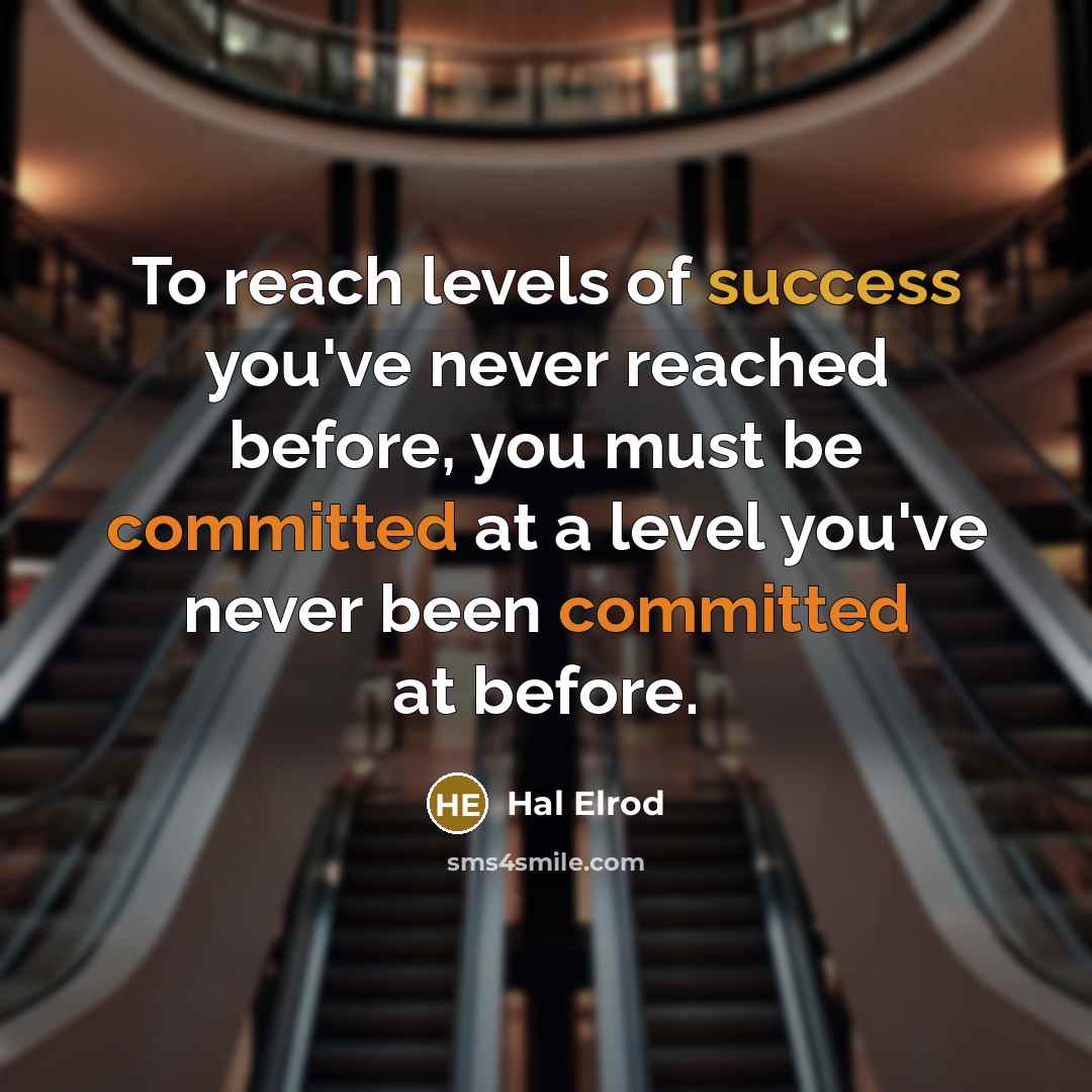 “To reach levels of success you've never reached before, you must be committed at a level you've never been committed at before.” quote by Hal Elrod