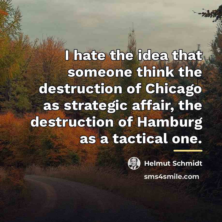 “I hate the idea that someone think the destruction of…” quote by Helmut Schmidt