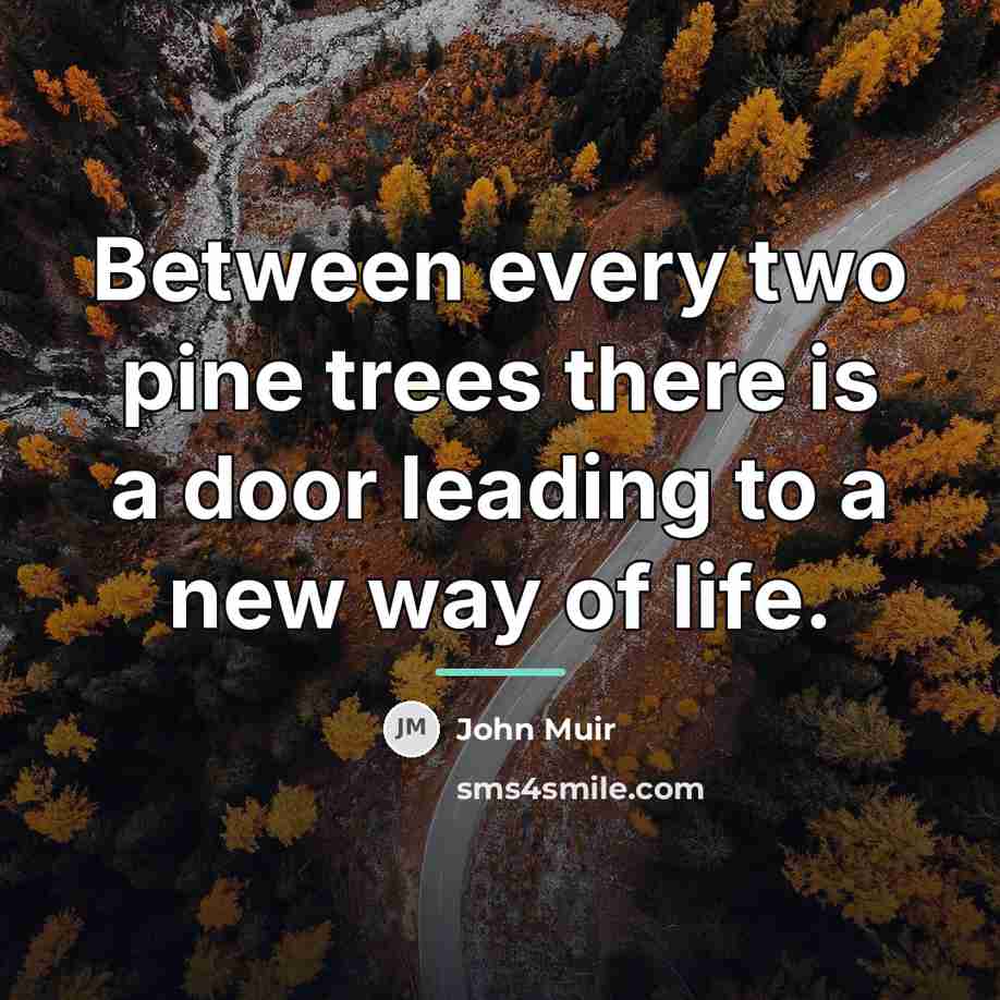“Between every two pine trees there is a door leading…” quote by John Muir