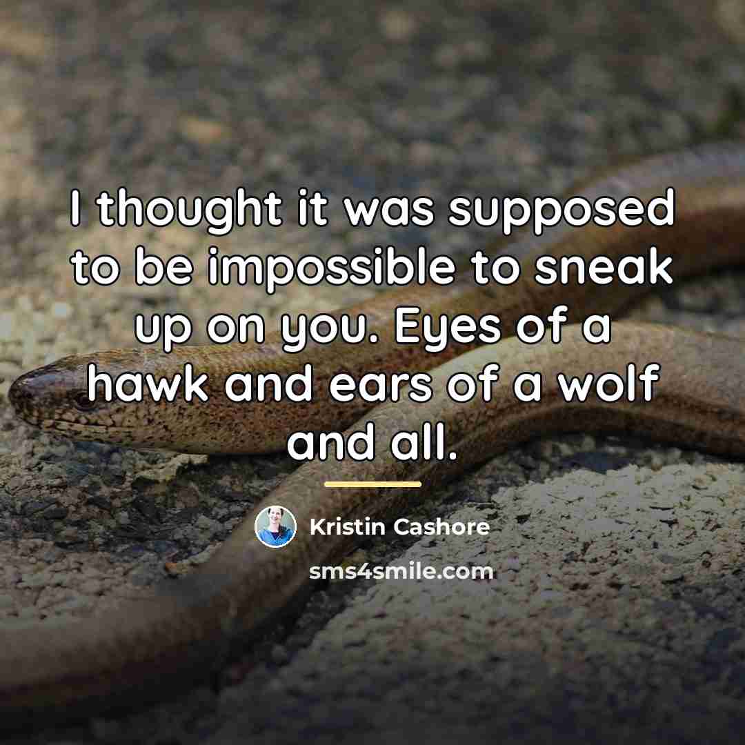 “I thought it was supposed to be impossible to sneak…” quote by Kristin Cashore