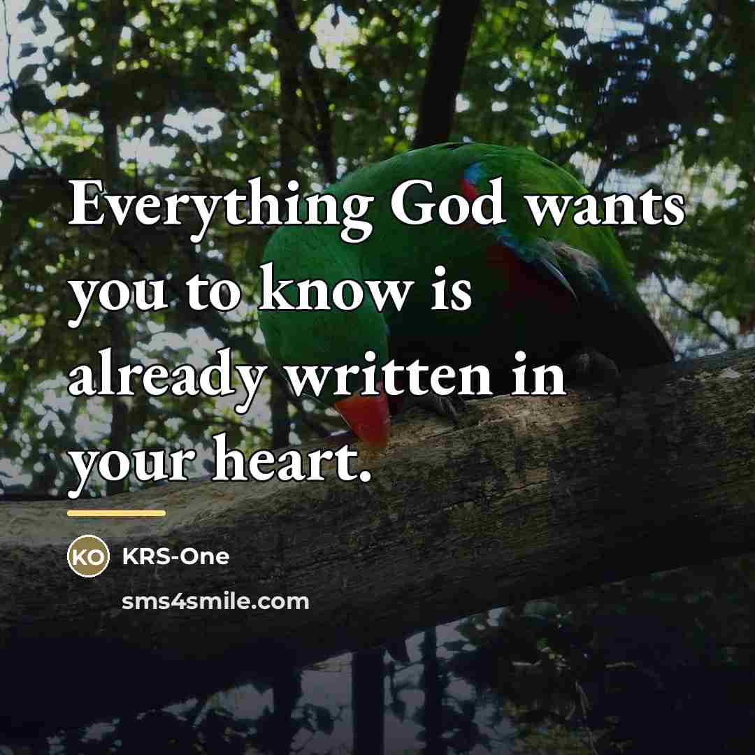 “Everything God wants you to know is already written in…” quote by KRS-One