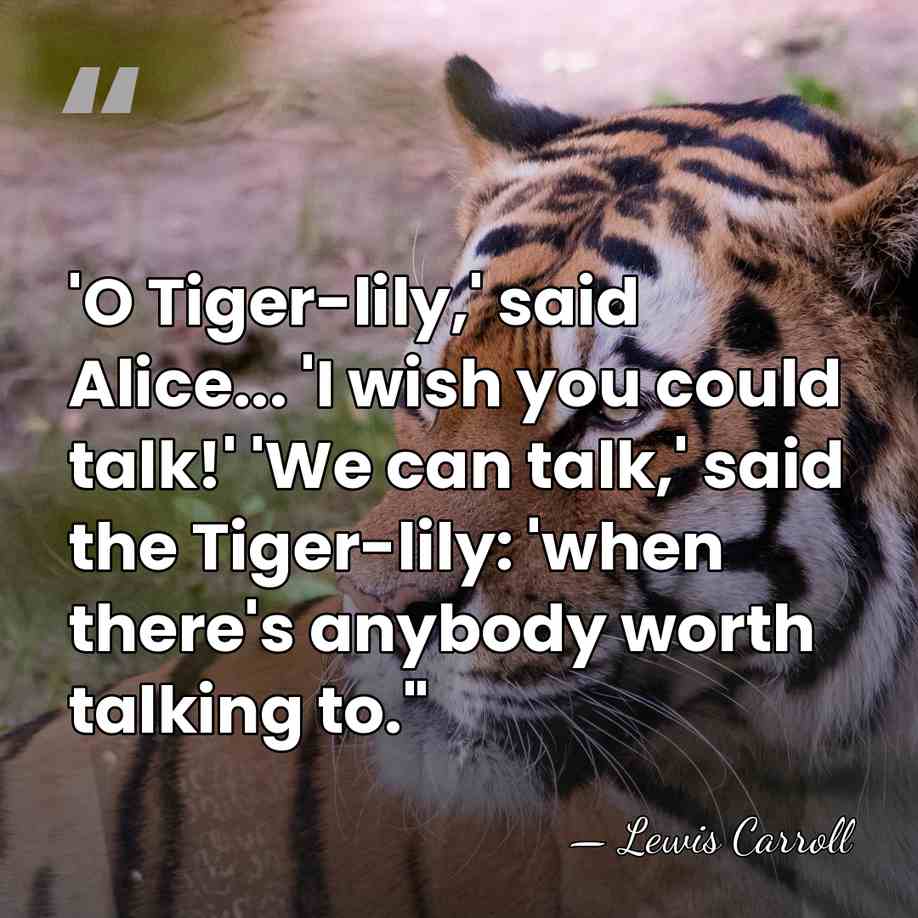 'O Tiger-lily,' said Alice... 'I wish you could talk!' 'We can talk,'&hellip; - Lewis Carroll