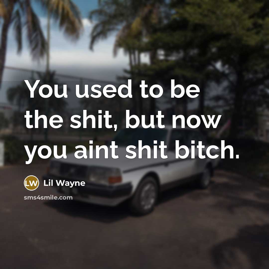 “You used to be the shit, but now you aint shit bitch.” quote by Lil Wayne